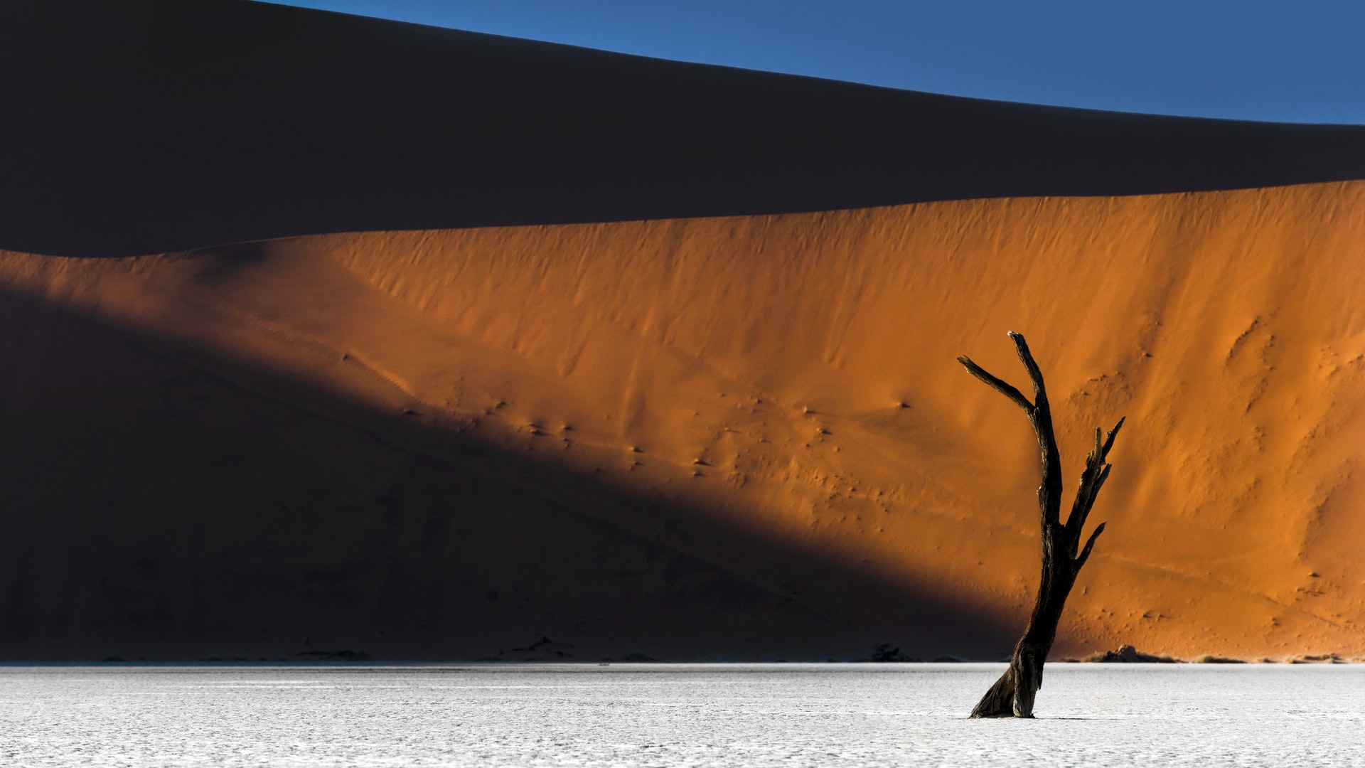 Example spacecraft renderings in SpaceSense-Bench